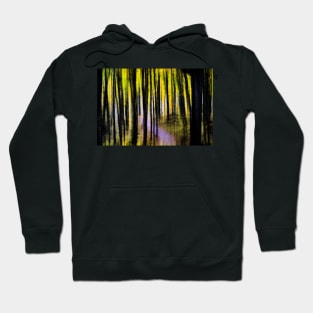 Trees of Pictured Rocks Hoodie